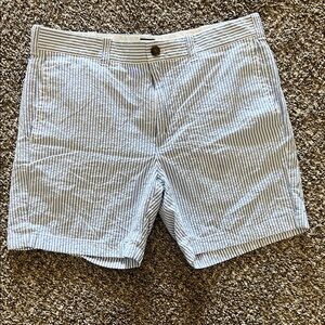 J. Crew Blue and White Striped Women's Shorts 33